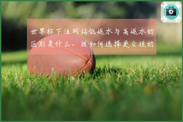 世界杯下注网站低返水与高返水的区别是什么，该如何选择更合适的平台？