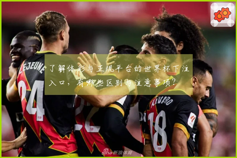 了解体彩与正规平台的世界杯下注入口，有哪些区别与注意事项？