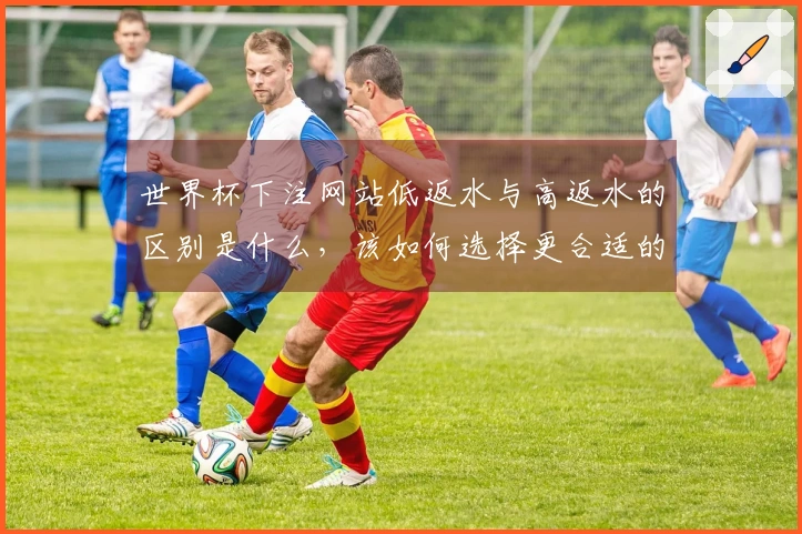 世界杯下注网站低返水与高返水的区别是什么，该如何选择更合适的平台？