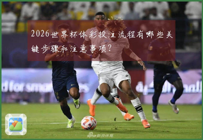 2026世界杯体彩投注流程有哪些关键步骤和注意事项？